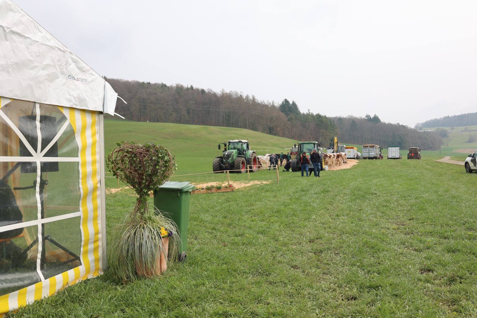 Einblicke in die Viehschau vom 29.03.2025